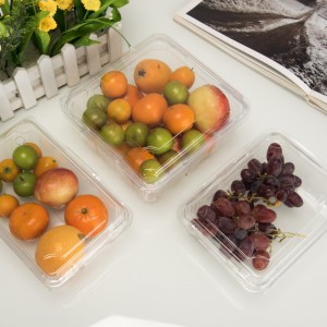 Hoge transparantie milieuvriendelijke wegwerp plastic fruit container